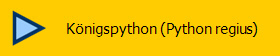 Knigspython (Python regius)